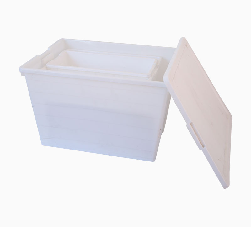 Caja de combinación Caja de almacenamiento Caja Molde blanco